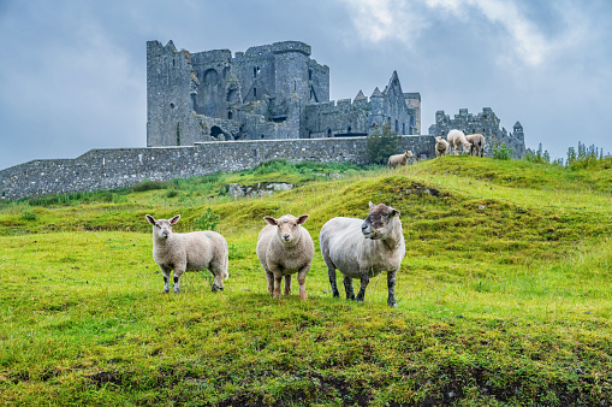 We’re going to Ireland!